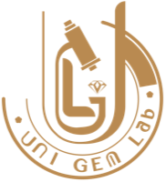 UNI Gem Lab logo